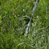 backstop-stake-ground_11zon