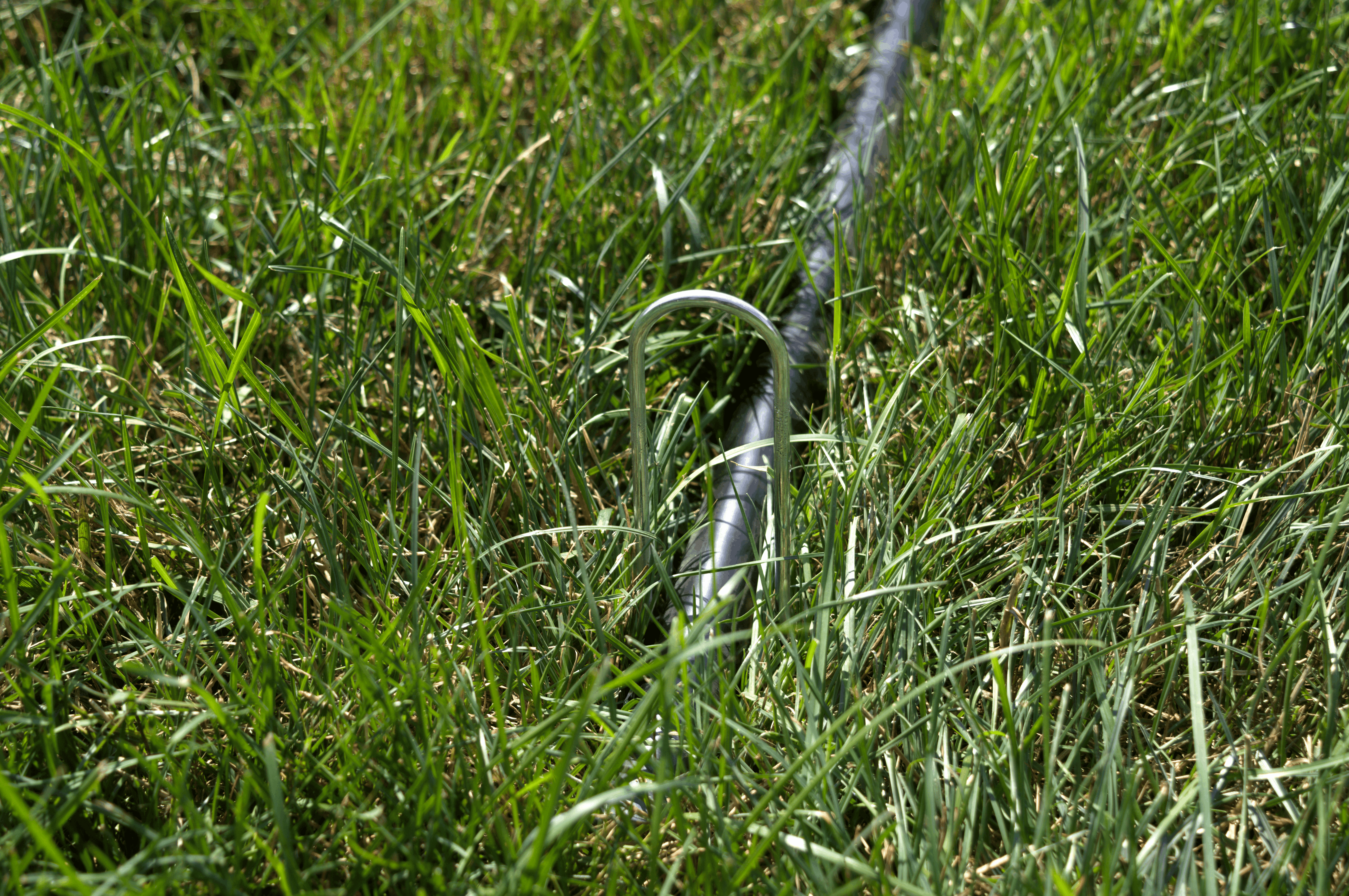 backstop-stake-ground_11zon